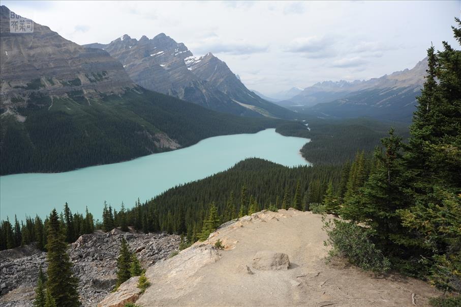 Peyto Lake